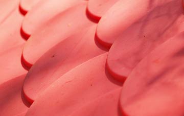 Wilkin Throop plastic roof costs